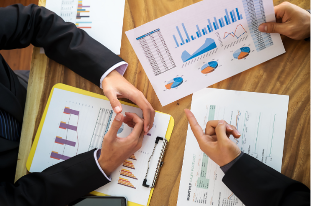 Business Consulting Support